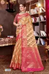 Aashika Vol 2 By Saroj 1001 To 1006 Soft Organza Silk Saree Wholesales In Delhi
